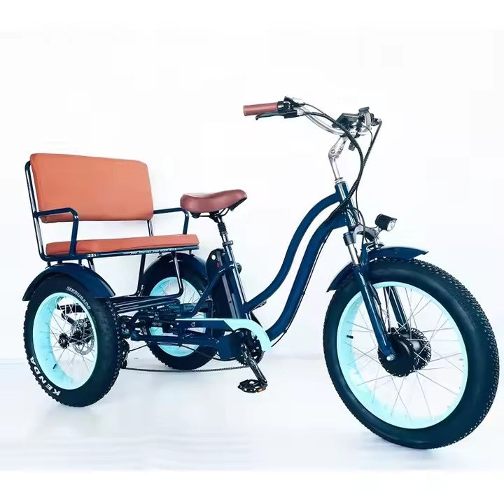 Electric Bike/Tricycles/Car, 300W-500W, 36/48V, for Riding and Commuting Electric Bicycle or Cargo Transportation Electric Vehicle