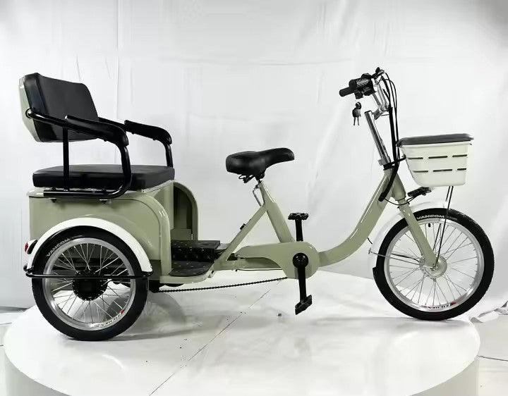 Electric Bike/Tricycles/Car, 300W-500W, 36/48V, for Riding and Commuting Electric Bicycle or Cargo Transportation Electric Vehicle
